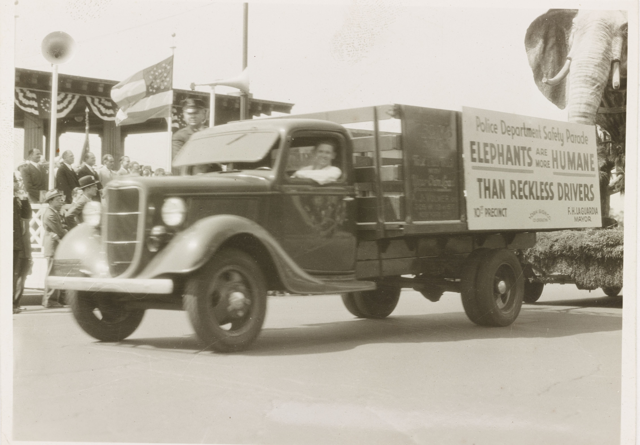 Black-and-white photo of a truck carrying a safety sign that says" Elephants are more humane than reckless drivers." The truck is towing a platform with a large elephant on it, while people watch from a decorated stand.